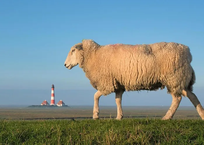 Gjarshues * Lindholm